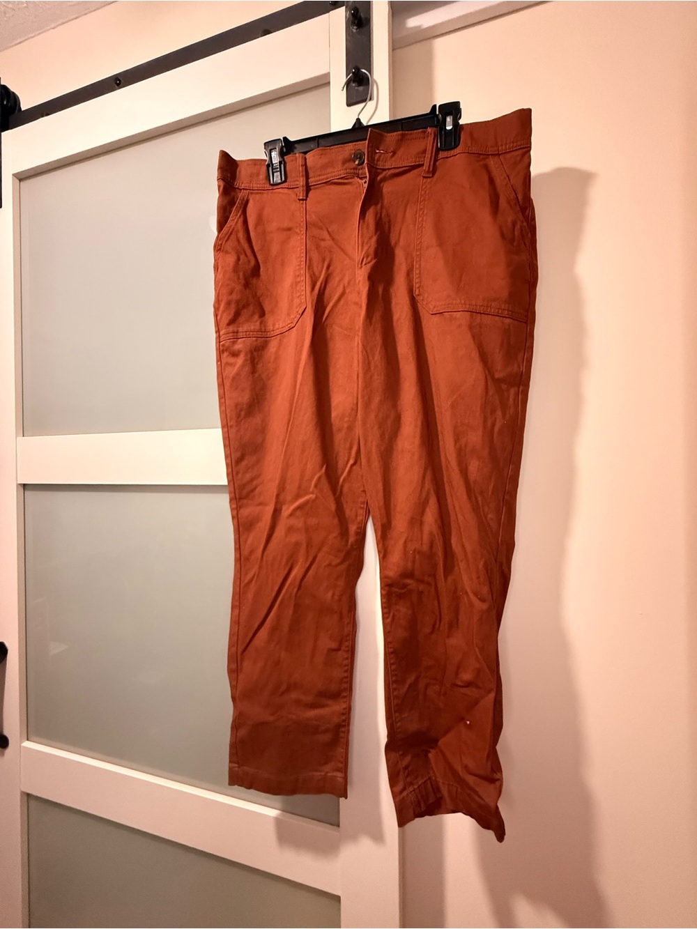 Rust Brown Casual Pants